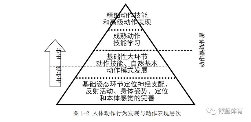 基础动作模式